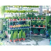 花草植物種植儲(chǔ)物架，立體種植貨架，園藝盆栽置物架（2）