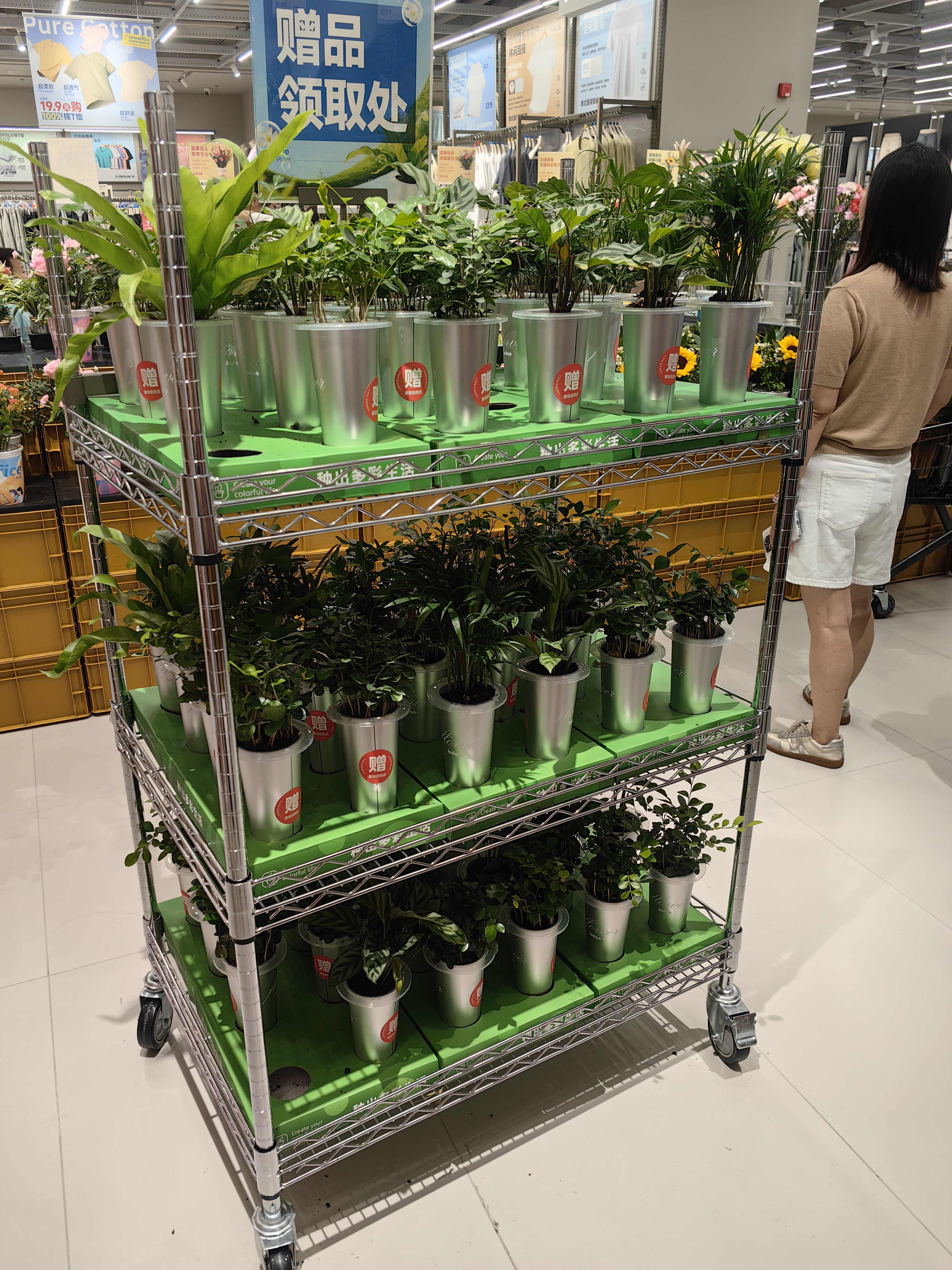 商超小盆栽陳列推車成功案例：200%空間利用率+靈活展示解決方案 CJ9060150A3CW型號